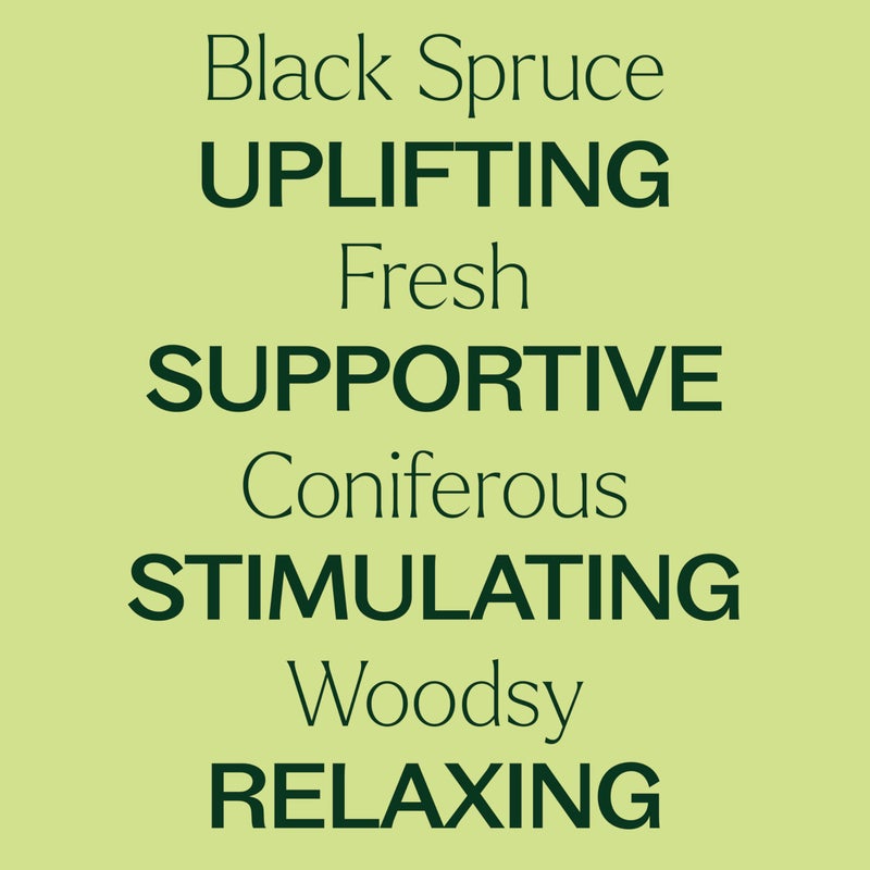 Plant Therapy Black Spruce Essential Oil 10 mL (1/3 oz) 100% Pure, Undiluted, Therapeutic Grade - Image 4